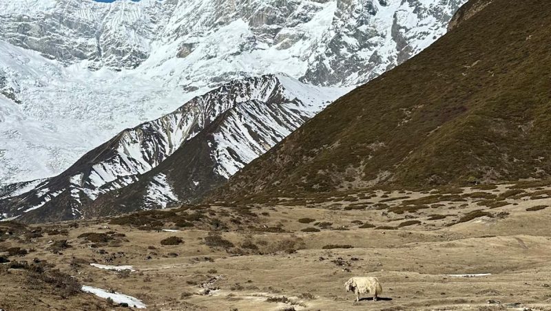 Manaslu Circuit Trekking