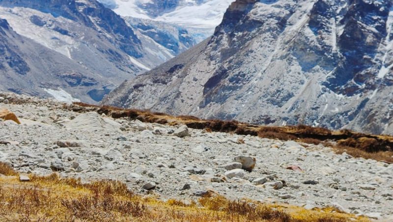 Kanchenjunga Circuit Trek